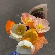 まるの画像