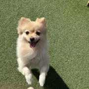 けいの画像