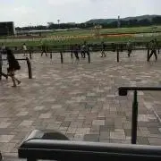 渡辺あやと