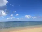 小雪の画像
