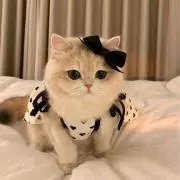 mの画像
