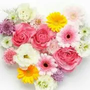 pome＊pomeの画像