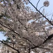 みなぽんの画像