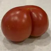 EVEの画像