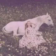 hryの画像