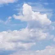 プロフ確認お願いしますの画像
