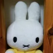 よさりの画像