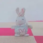 ぷちの画像