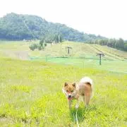 chan♪