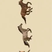 nyの画像