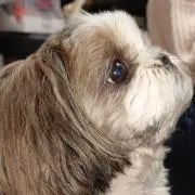 ほたるママの画像