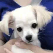 Image of つもぴん⭐︎