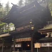 ひこの画像