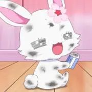しゅがーの画像