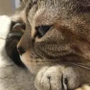 ★MOMO★の画像