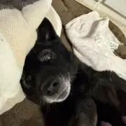 Kah0の画像