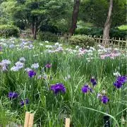 たけちゃんの画像