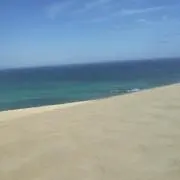 YGreenTreeの画像