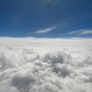 アロエ