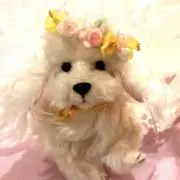 ゆりりんRN