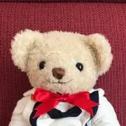 さくらの画像