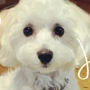 テックの画像