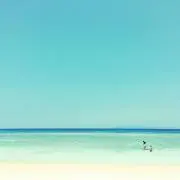 hann3aの画像