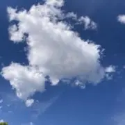 g.e.g
