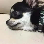 豆ママの画像