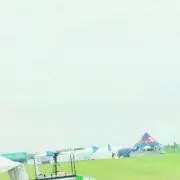 pika2の画像