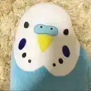 ふくしる　⭐︎プロフお読みくださいの画像