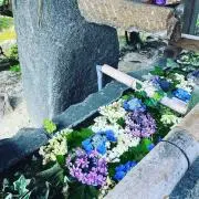 とりの画像