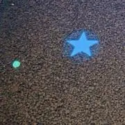 雪の画像