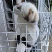 孤高の釣り師