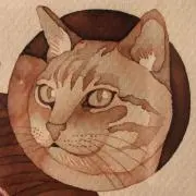ちーやんの画像
