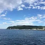 ぴの