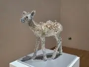 YOSHIの画像