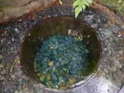 園長先生の画像
