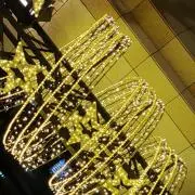 777の画像
