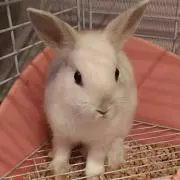 ♡しーちゃん♡プロフ必ず読んでください！の画像