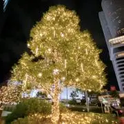 ☆の画像