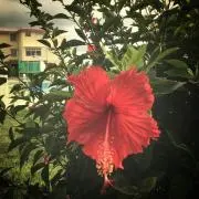☺︎スマイル☺︎の画像