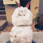 うさにゃん【即日発送】の画像