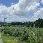 しもづかファーム(南信州→直送便)の画像