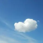 sakuraの画像