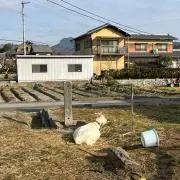 巨匠の画像