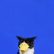 ユウコの画像