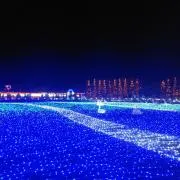 ピーチクリスマス　コメントお気軽にの画像