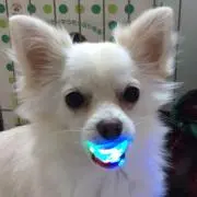 KATQの画像
