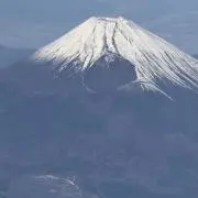 ゴン太